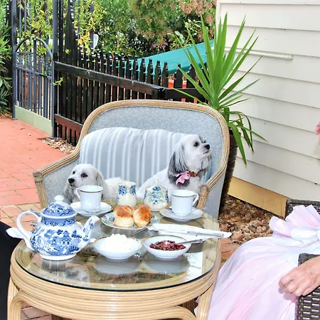 Must Love Dogs B&B & Self Contained Cottage-2